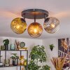 Ripoll Plafondlamp, Kogellampje Goud, Duidelijk, Koperkleurig, Rookkleurig, 3-lichts