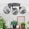 Chehalis Plafondlamp, Kogellampje 25 cm Rookkleurig, 3-lichts