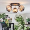 Chehalis Plafondlamp, Kogellampje 25 cm Rookkleurig, 3-lichts
