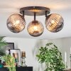 Chehalis Plafondlamp, Kogellampje 25 cm Rookkleurig, 3-lichts