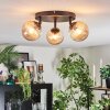 Chehalis Plafondlamp, Kogellampje Amber, 3-lichts