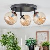 Chehalis Plafondlamp, Kogellampje Amber, 3-lichts