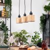 Bongal Hanglamp, Hanglamp Natuurlijke kleuren, Zwart, 3-lichts