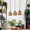 Cando Hanglamp, Hanglamp Natuurlijke kleuren, Zwart, 3-lichts