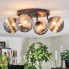 Chehalis Plafondlamp, Kogellampje Rookkleurig, 4-lichts
