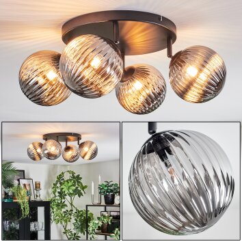 Chehalis Plafondlamp, Kogellampje Rookkleurig, 4-lichts