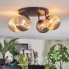 Chehalis Plafondlamp, Kogellampje Amber, Rookkleurig, 4-lichts