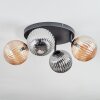 Chehalis Plafondlamp, Kogellampje Amber, Rookkleurig, 4-lichts