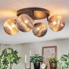 Chehalis Plafondlamp, Kogellampje Amber, Rookkleurig, 4-lichts