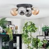 Chehalis Plafondlamp, Kogellampje Amber, Rookkleurig, 4-lichts