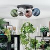 Chehalis Plafondlamp, Kogellampje Blauw, Groen, Koperkleurig, Rookkleurig, 4-lichts
