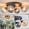 Chehalis Plafondlamp, Kogellampje Amber, Rookkleurig, 4-lichts