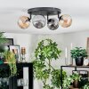 Chehalis Plafondlamp, Kogellampje Amber, Rookkleurig, 4-lichts