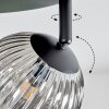 Chehalis Plafondlamp, Kogellampje Amber, Rookkleurig, 4-lichts