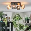Chehalis Plafondlamp, Kogellampje Amber, Rookkleurig, 4-lichts