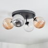 Chehalis Plafondlamp, Kogellampje Amber, Duidelijk, Rookkleurig, 4-lichts