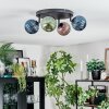 Chehalis Plafondlamp, Kogellampje Blauw, Groen, Koperkleurig, 4-lichts