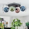 Chehalis Plafondlamp, Kogellampje Blauw, Groen, Koperkleurig, 4-lichts