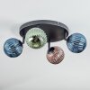 Chehalis Plafondlamp, Kogellampje Blauw, Groen, Koperkleurig, 4-lichts