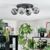 Chehalis Plafondlamp, Kogellampje Rookkleurig, 4-lichts