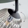 Chehalis Plafondlamp, Kogellampje Rookkleurig, 4-lichts
