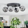 Chehalis Plafondlamp, Kogellampje Rookkleurig, 4-lichts