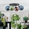 Chehalis Plafondlamp, Kogellampje Blauw, Groen, Koperkleurig, 4-lichts