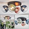 Chehalis Plafondlamp, Kogellampje Blauw, Groen, Duidelijk, Koperkleurig, 4-lichts