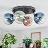 Chehalis Plafondlamp, Kogellampje Blauw, Groen, Duidelijk, Koperkleurig, 4-lichts