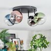 Chehalis Plafondlamp, Kogellampje Blauw, Chroom, Groen, Duidelijk, Koperkleurig, Rookkleurig, 4-lichts