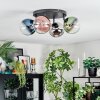 Chehalis Plafondlamp, Kogellampje Blauw, Chroom, Groen, Duidelijk, Koperkleurig, Rookkleurig, 4-lichts