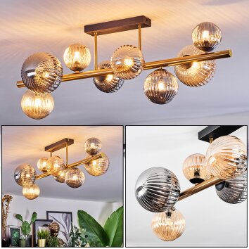 Chehalis Plafondlamp, Kogellampje Goud, Zwart, 8-lichts
