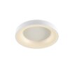 WOFI CAMERON Plafondlamp LED Wit, 1-licht, Afstandsbediening