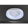 WOFI CAMERON Plafondlamp LED Wit, 1-licht, Afstandsbediening