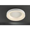 WOFI CAMERON Plafondlamp LED Wit, 1-licht, Afstandsbediening