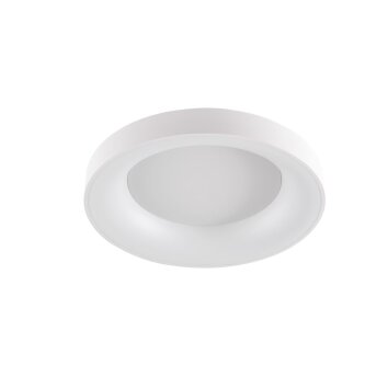 WOFI CAMERON Plafondlamp LED Wit, 1-licht, Afstandsbediening