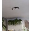 Eglo verlichting ROSLEY Plafondlamp, Plafondspot Zwart, 3-lichts