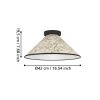 Eglo verlichting OXPARK Plafondlamp, Wandlamp Zwart, 1-licht