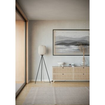 Eglo verlichting BELGRAVE Staande lamp Zwart, 1-licht