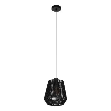 Eglo verlichting PERSLEY Hanglamp Zwart, 1-licht