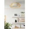 Eglo verlichting YUKU-Z Plafondlamp, Wandlamp LED Wit, 1-licht, Kleurwisselaar