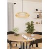 Eglo verlichting YUKU-Z Hanglamp LED Wit, 1-licht, Kleurwisselaar