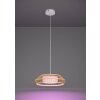 Eglo verlichting YUKU-Z Hanglamp LED Wit, 1-licht, Kleurwisselaar