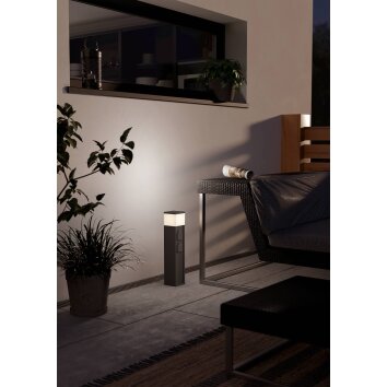 Eglo verlichting EGLO Stopcontact licht Antraciet, 1-licht