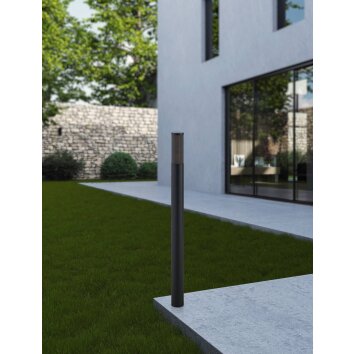 Eglo verlichting SALLE Staande lamp Zwart, 1-licht