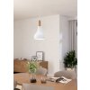 Eglo verlichting SABINAR Hanglamp Wit