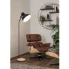 Eglo verlichting LUBENHAM Staande lamp Bruin, Zwart, 1-licht