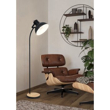 Eglo verlichting LUBENHAM Staande lamp Bruin, Zwart, 1-licht