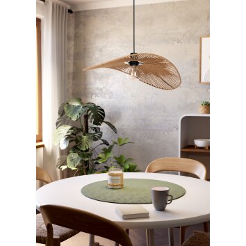 Eglo verlichting SIRUELA Hanglamp Zwart, 1-licht