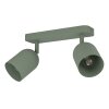 Eglo verlichting TILSTON Plafondlamp, Plafondspot Groen, 2-lichts